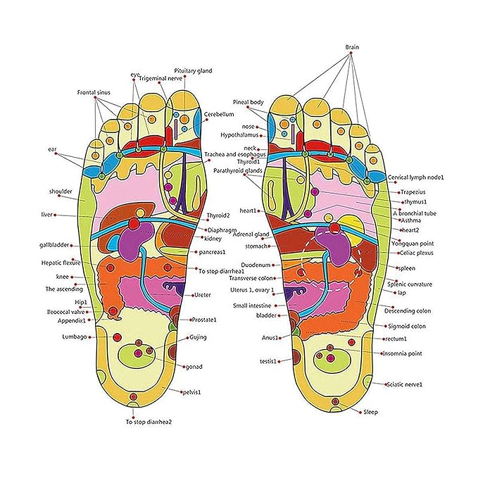 Elysse Beauty SoleRelief™ Acupressure Massage Slippers